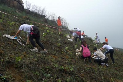 今年逾700人報名參加，為一幅去年被山火燒去大范圍林木的山坡種植約6,000棵樹苗。