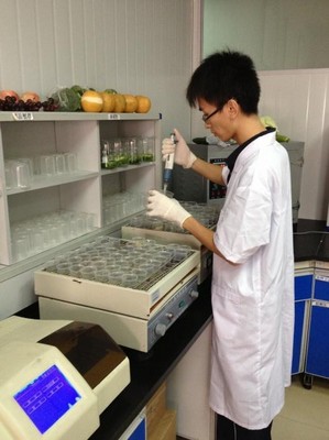 沃爾瑪生鮮配送中心的工作人員正在做農(nóng)藥殘留檢測(cè)。