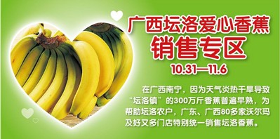 廣東、廣西80多家沃爾瑪門店正銷售廣西壇洛<br />由于早熟而引起的滯銷香蕉。